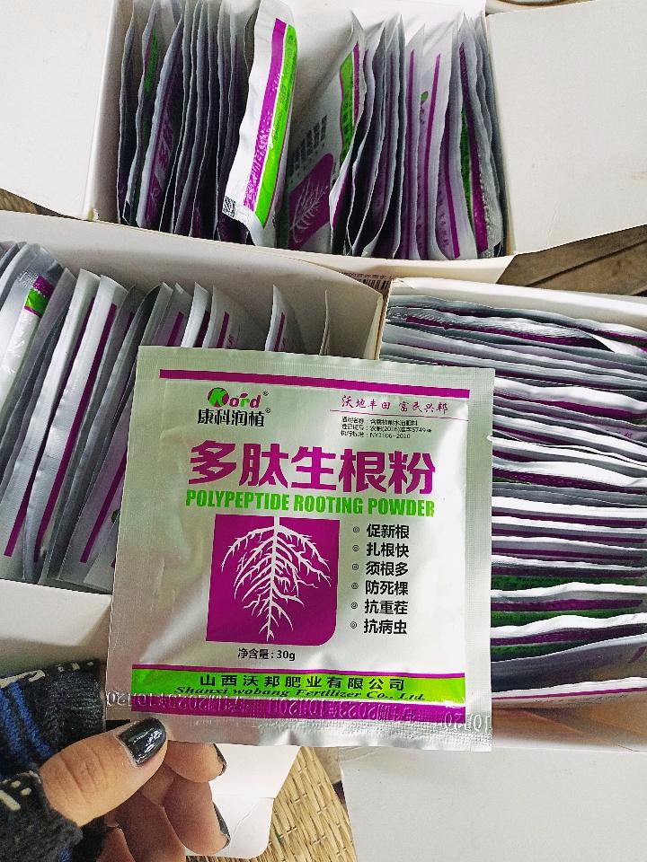 Kích Rễ Cực Mạnh-duoc-ban-tai-Asaly Garden