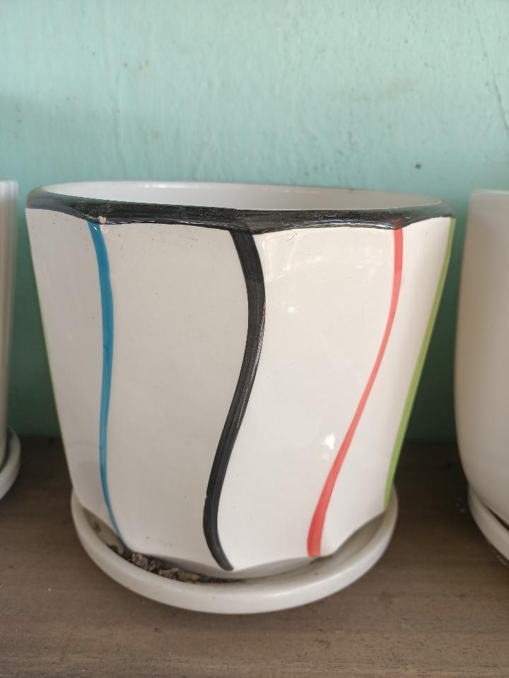 Chậu Dĩa 3-duoc-ban-tai-Asaly Garden