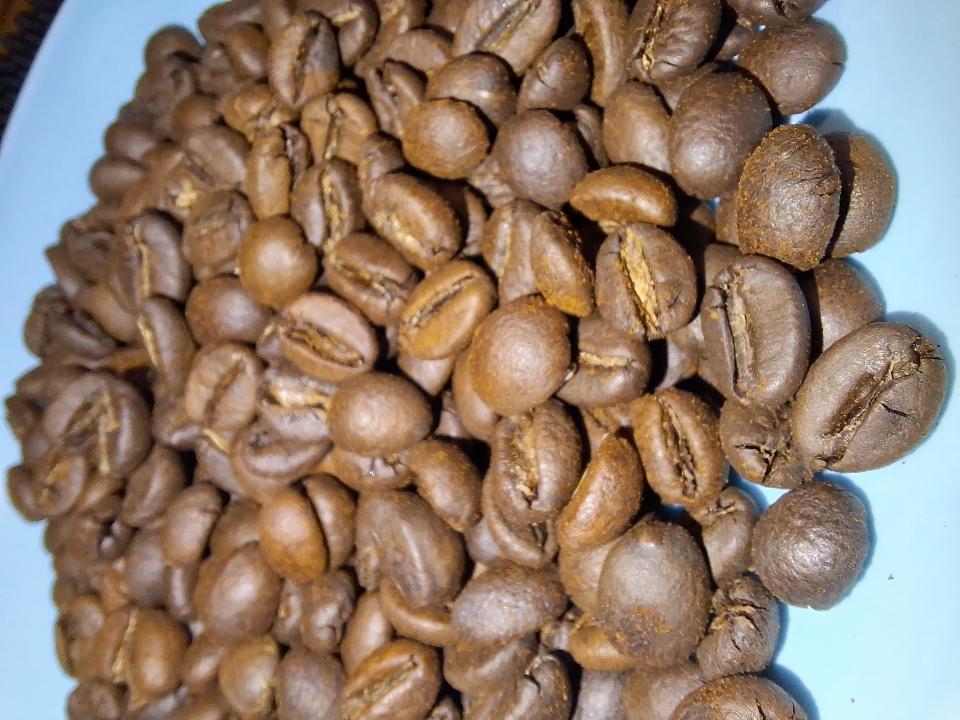 Hạt Robusta Honey-duoc-ban-tai-Tiệm Cà phê XOAY