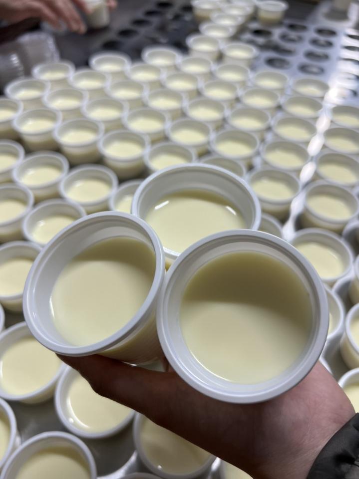 Sữa chua phomai ĐL lốc 10-duoc-ban-tai-Kho sỉ Lương Dung