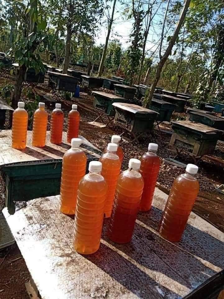 Mật ong nuôi hoa cà phê chai 1 lít-duoc-ban-tai-Kho sỉ Lương Dung