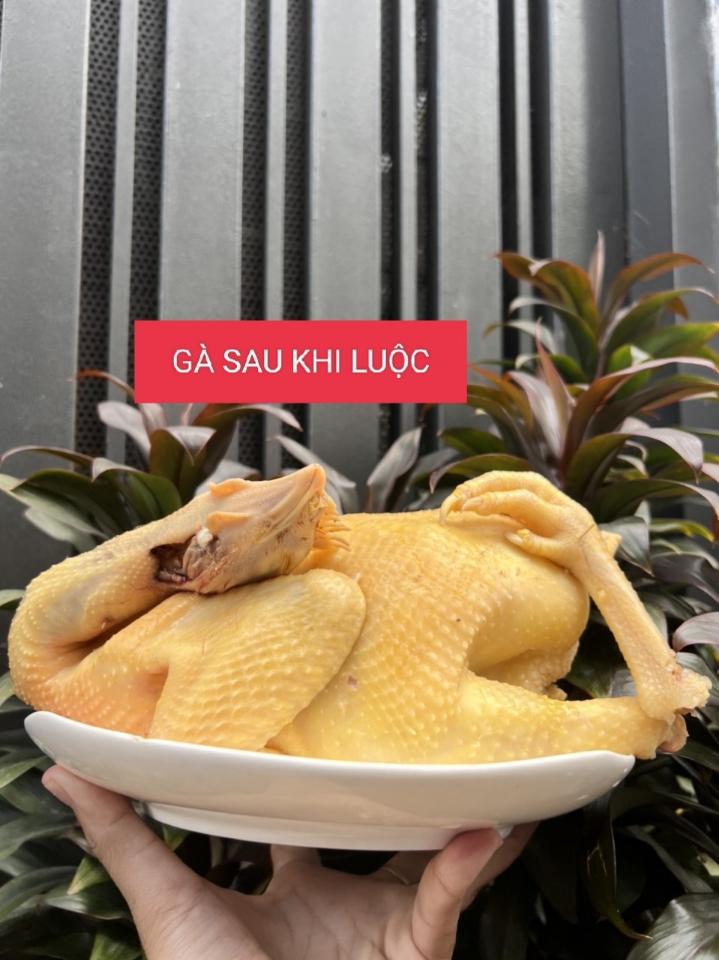 GÀ TA DAKLAK-duoc-ban-tai-Kho sỉ Lương Dung