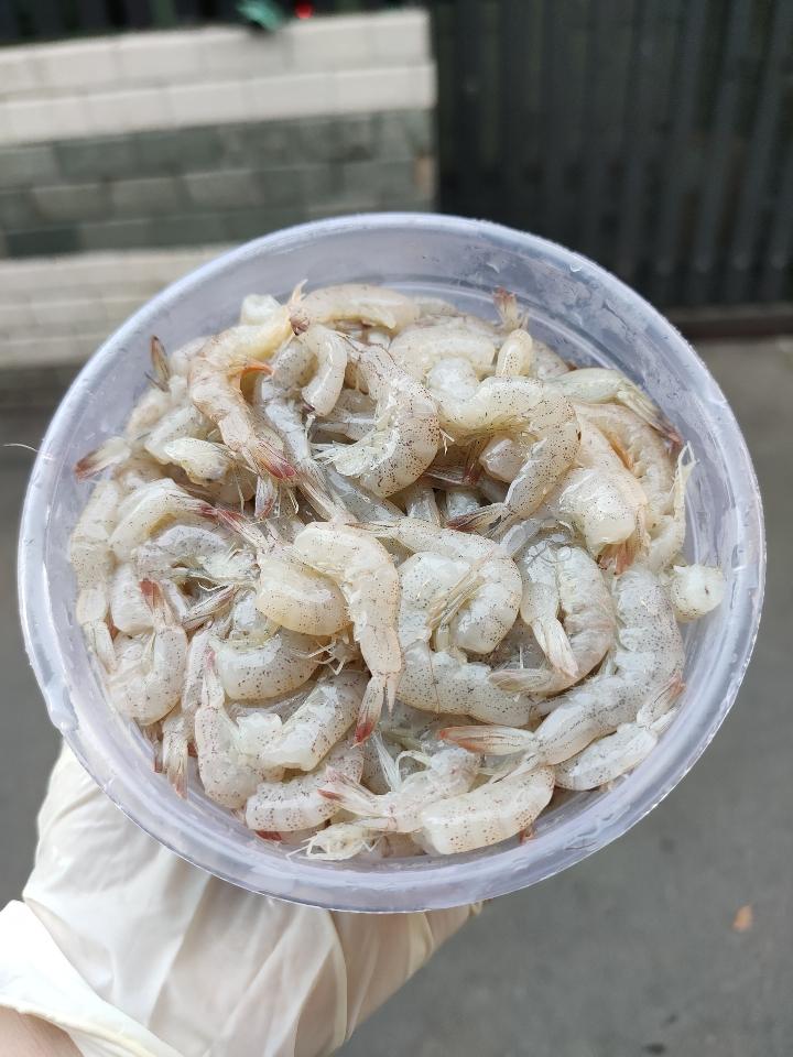 Tép bạc cắt đầu-duoc-ban-tai-Kho sỉ Lương Dung