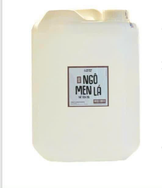 Rượu Ngô Men Lá -duoc-ban-tai-Nhà Phân Phối Hà Gia Bảo Nam