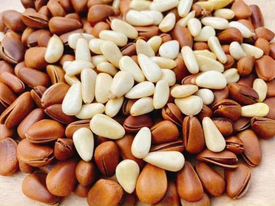 Hạt thông - 500gr-duoc-ban-tai-Đặc sản vùng cao HN