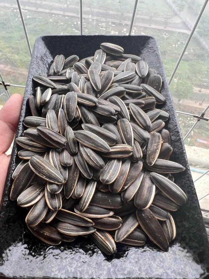 Hướng dương rang củi - Túi 500gr-duoc-ban-tai-Đặc sản vùng cao HN