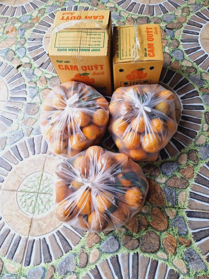 Cam Cao Phong - 1kg-duoc-ban-tai-Đặc sản vùng cao HN