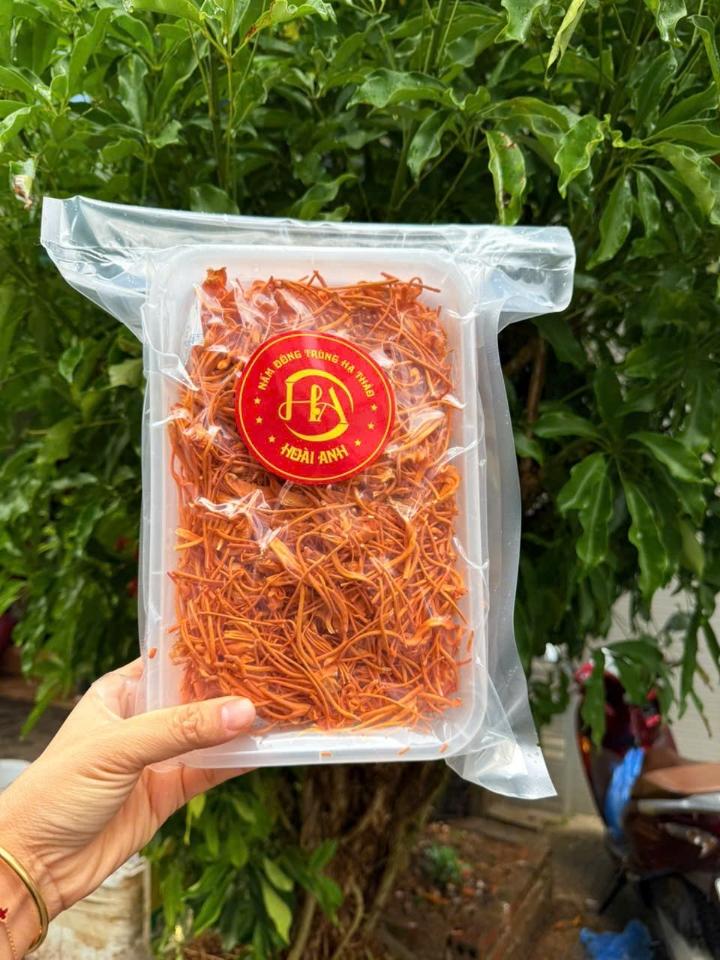 (Khay 100gr) Đông trùng hạ thảo khô sấy thăng hoa - hàng rối-duoc-ban-tai-Đặc sản vùng cao HN