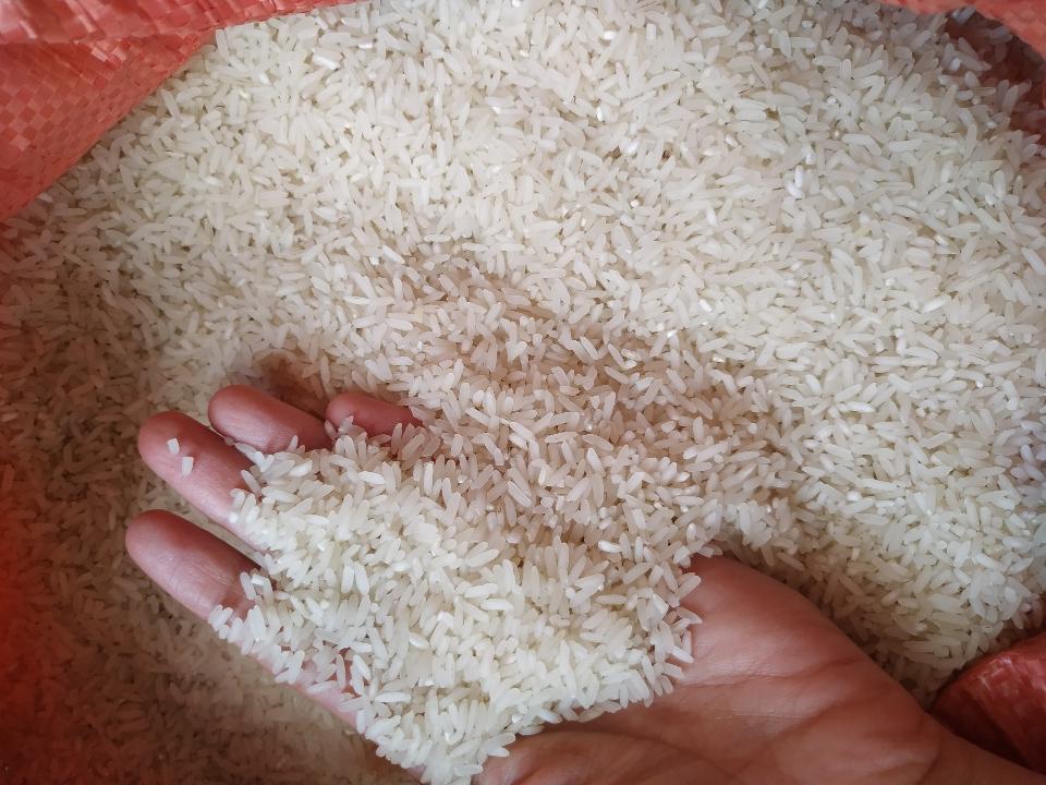 Gạo Đài thơm - quê Bắc Giang - 1kg-duoc-ban-tai-Đặc sản vùng cao HN