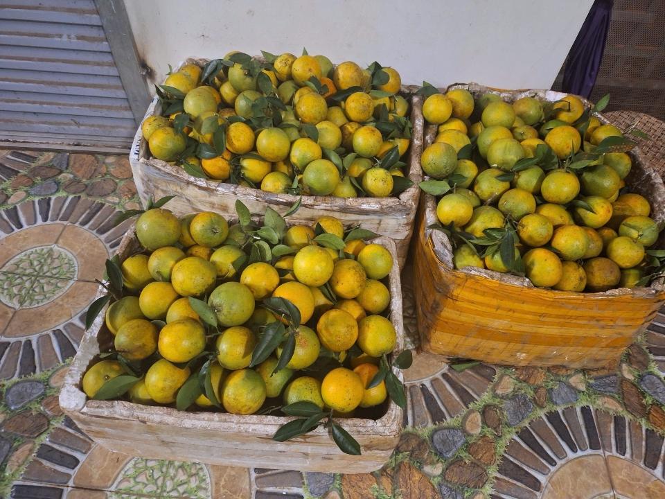 Cam Cao Phong - 1kg-duoc-ban-tai-Đặc sản vùng cao HN