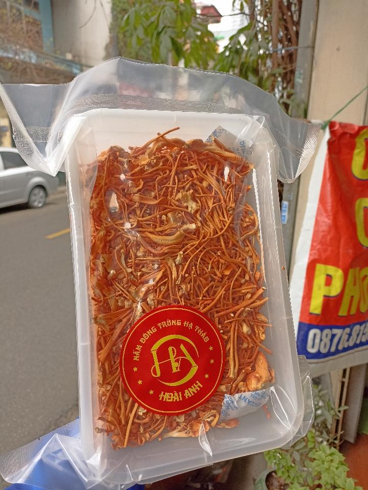 (Khay 100gr) Đông trùng hạ thảo khô sấy thăng hoa - hàng rối-duoc-ban-tai-Đặc sản vùng cao HN