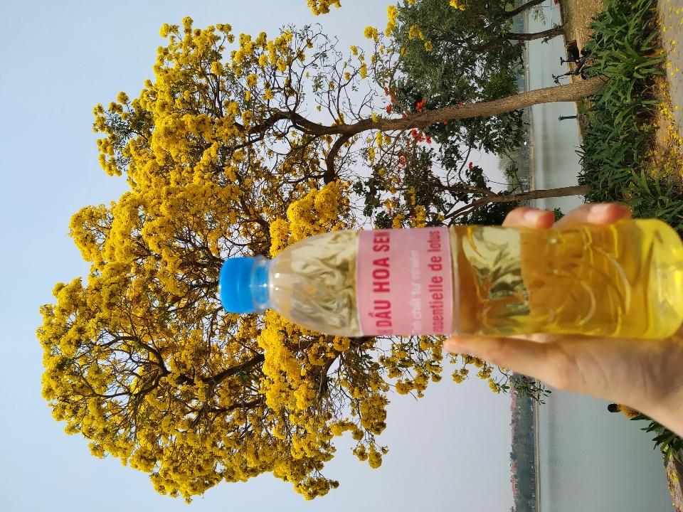 Tinh dầu sen - chai 500ml-duoc-ban-tai-Đặc sản vùng cao HN
