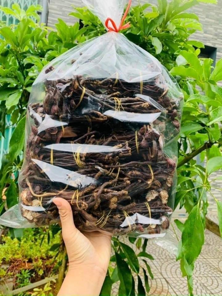 Nấm linh chi - nấm cổ cò - 1kg-duoc-ban-tai-Đặc sản vùng cao HN
