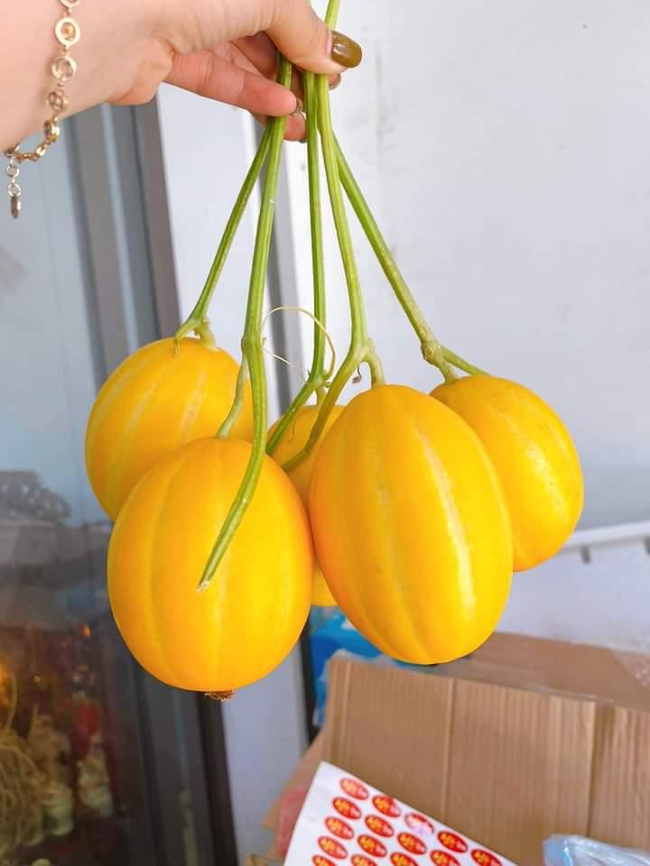 Dưa lê Hàn Quốc - 1kg-duoc-ban-tai-Đặc sản vùng cao HN