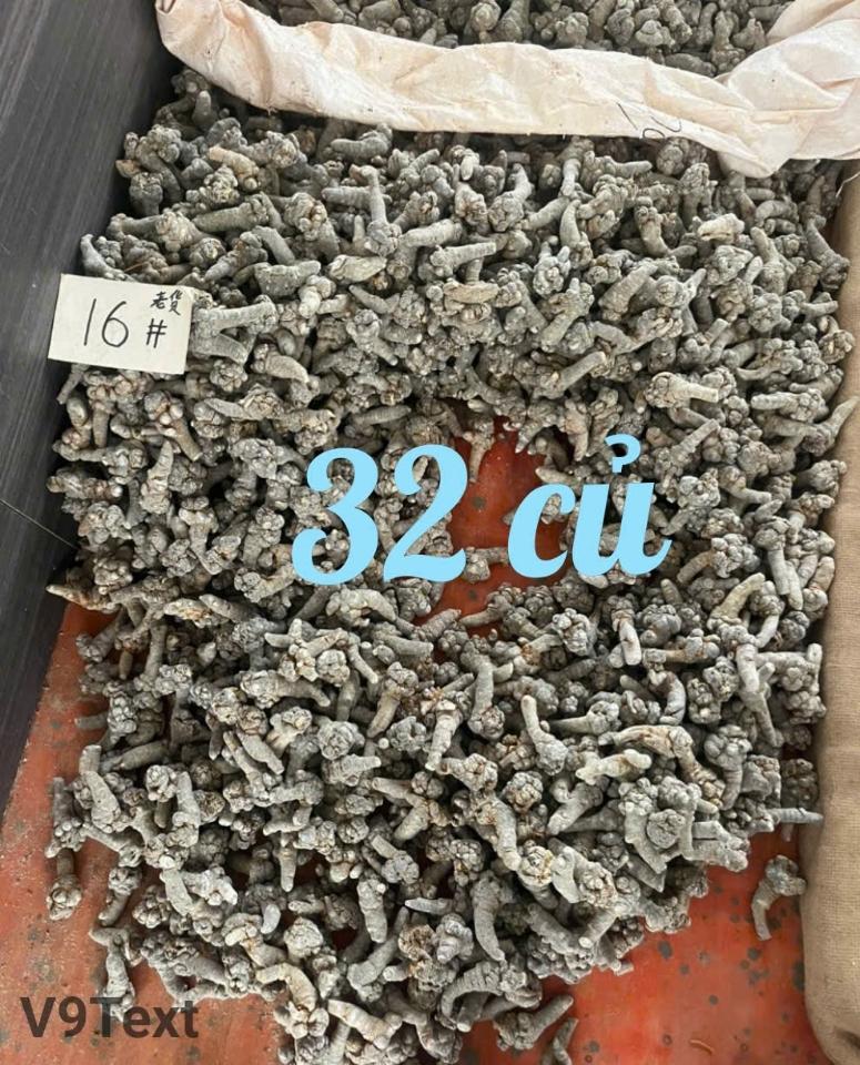 Tam thất bắc - size 32 củ 1kg-duoc-ban-tai-Đặc sản vùng cao HN