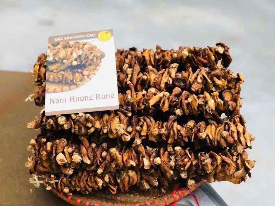 Nấm hương rừng xiên khô - 1kg-duoc-ban-tai-Đặc sản vùng cao HN