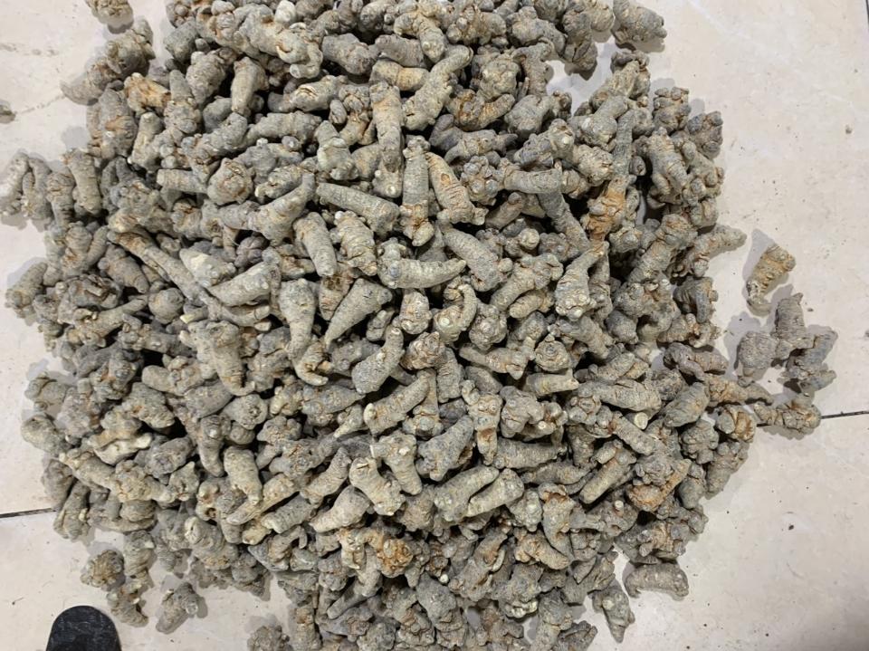 Tam thất 66 củ 1kg - 1kg-duoc-ban-tai-Đặc sản vùng cao HN