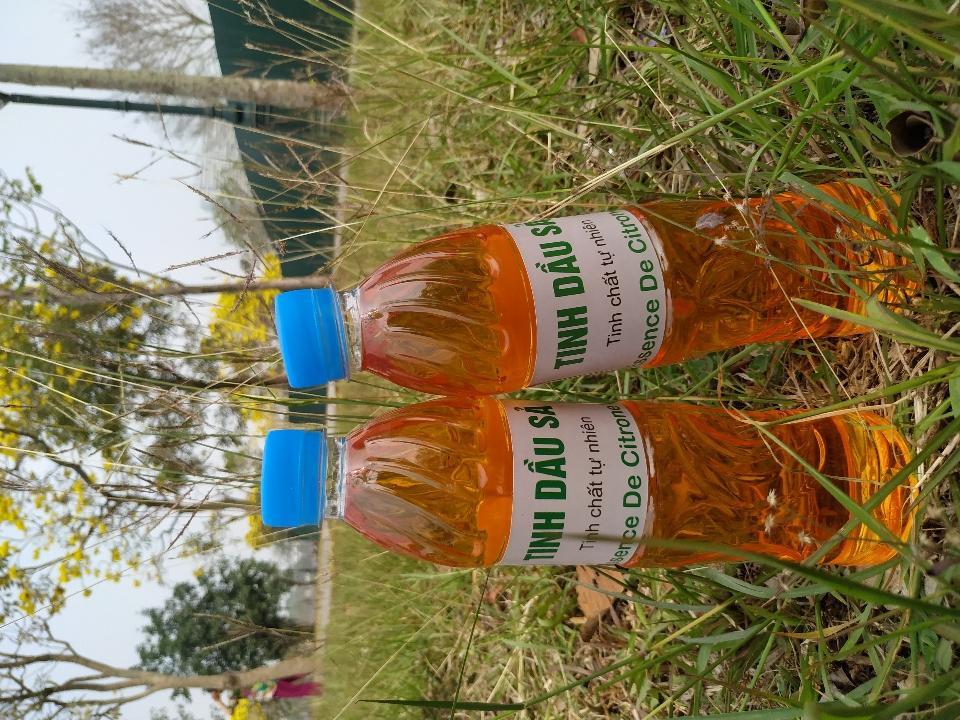 Tinh dầu sả lau nhà - chai 500ml-duoc-ban-tai-Đặc sản vùng cao HN