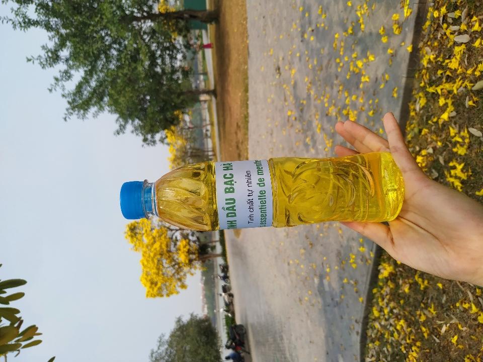 Tinh dầu bạc hà lau nhà - chai 500ml-duoc-ban-tai-Đặc sản vùng cao HN