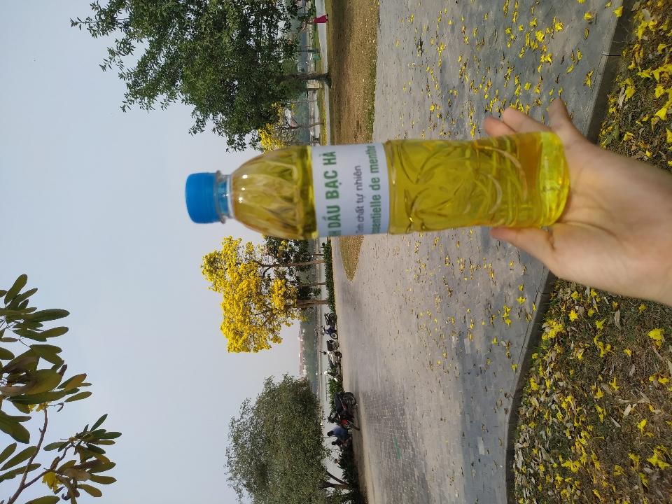 Tinh dầu bạc hà lau nhà - chai 500ml-duoc-ban-tai-Đặc sản vùng cao HN