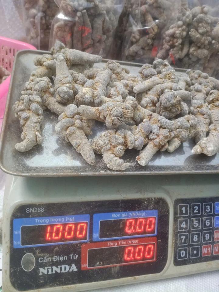 Tam thất bắc - size 32 củ 1kg-duoc-ban-tai-Đặc sản vùng cao HN