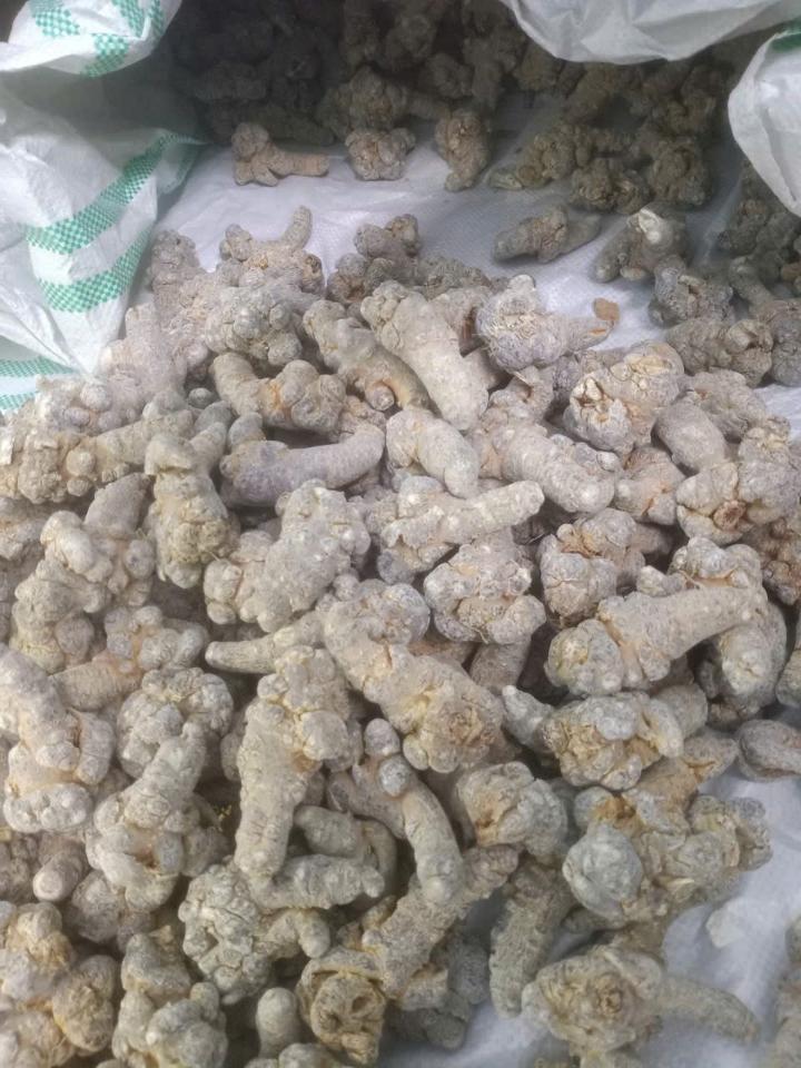 Tam thất bắc - size 32 củ 1kg-duoc-ban-tai-Đặc sản vùng cao HN