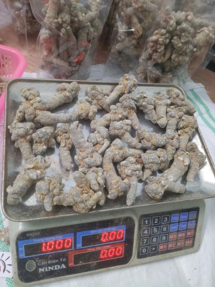 Tam thất bắc - size 32 củ 1kg-duoc-ban-tai-Đặc sản vùng cao HN