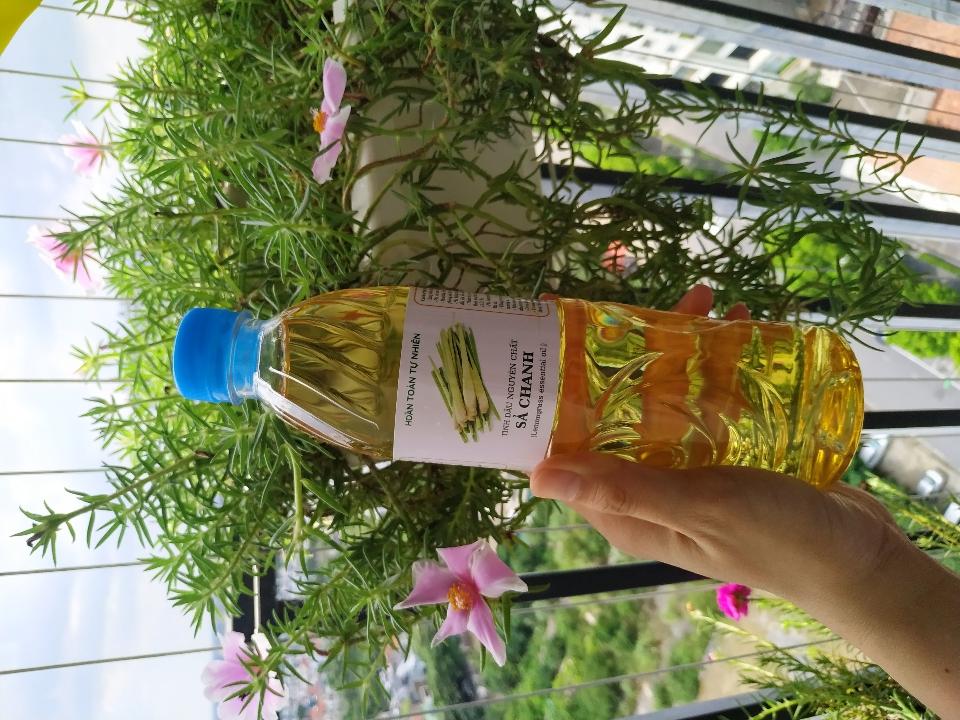 Tinh dầu sả chanh nguyên chất - chai 500ml-duoc-ban-tai-Đặc sản vùng cao HN