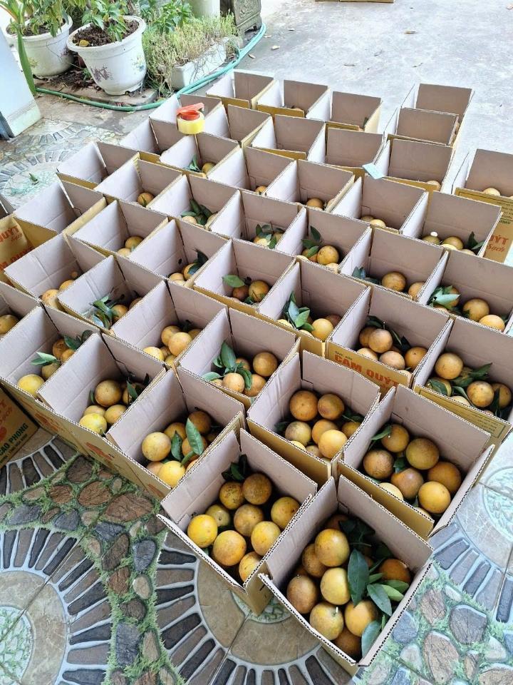 Cam Cao Phong - 1kg-duoc-ban-tai-Đặc sản vùng cao HN