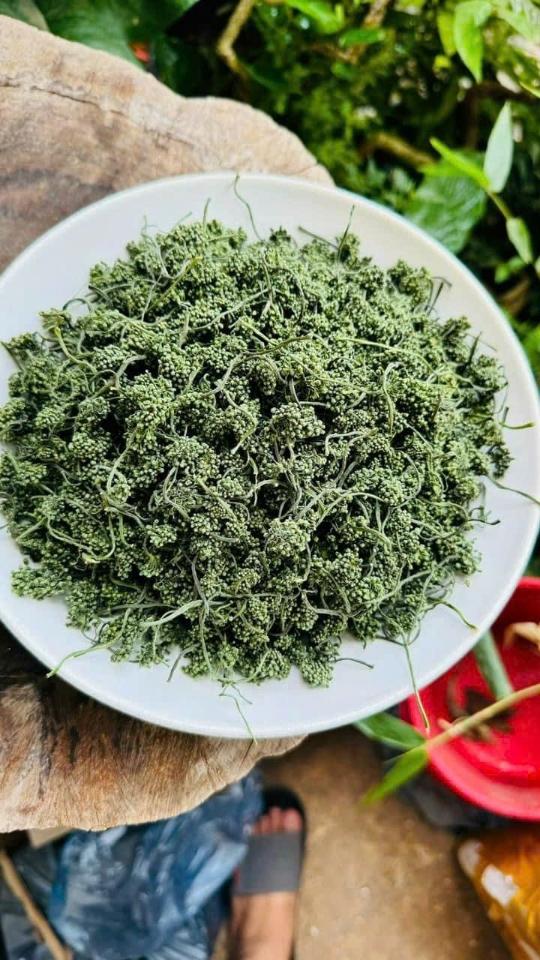 Hoa sâm Trường Bạch - 500gr-duoc-ban-tai-Đặc sản vùng cao HN