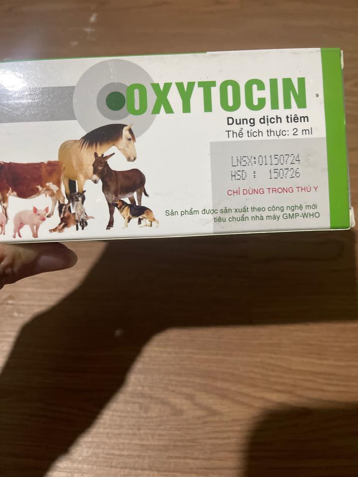 Oxytocin 2ml-duoc-ban-tai-CS1 THUỐC THÚ Y MẠNH VINH