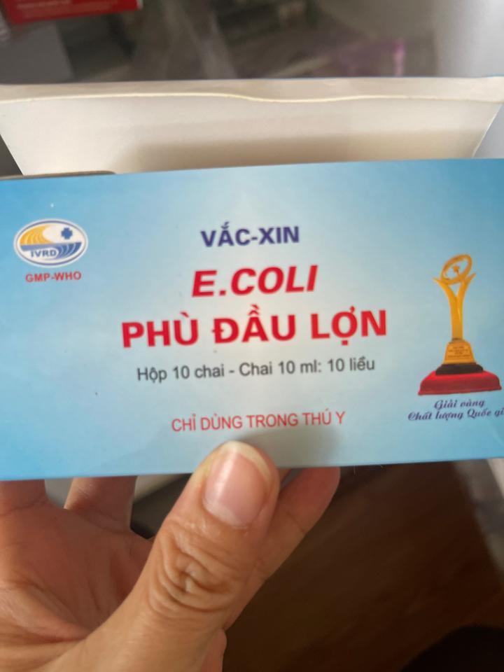 Vx ecoli sưng phù đầu l10-duoc-ban-tai-CS1 THUỐC THÚ Y MẠNH VINH