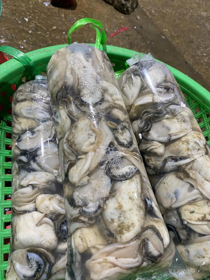 Ruột hàu sữa size vừa-duoc-ban-tai-BẾP NHÀ DỪA
