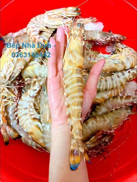 Tôm He Vằn tự nhiên 100%, sống cấp size 10-12 con/kg-duoc-ban-tai-BẾP NHÀ DỪA