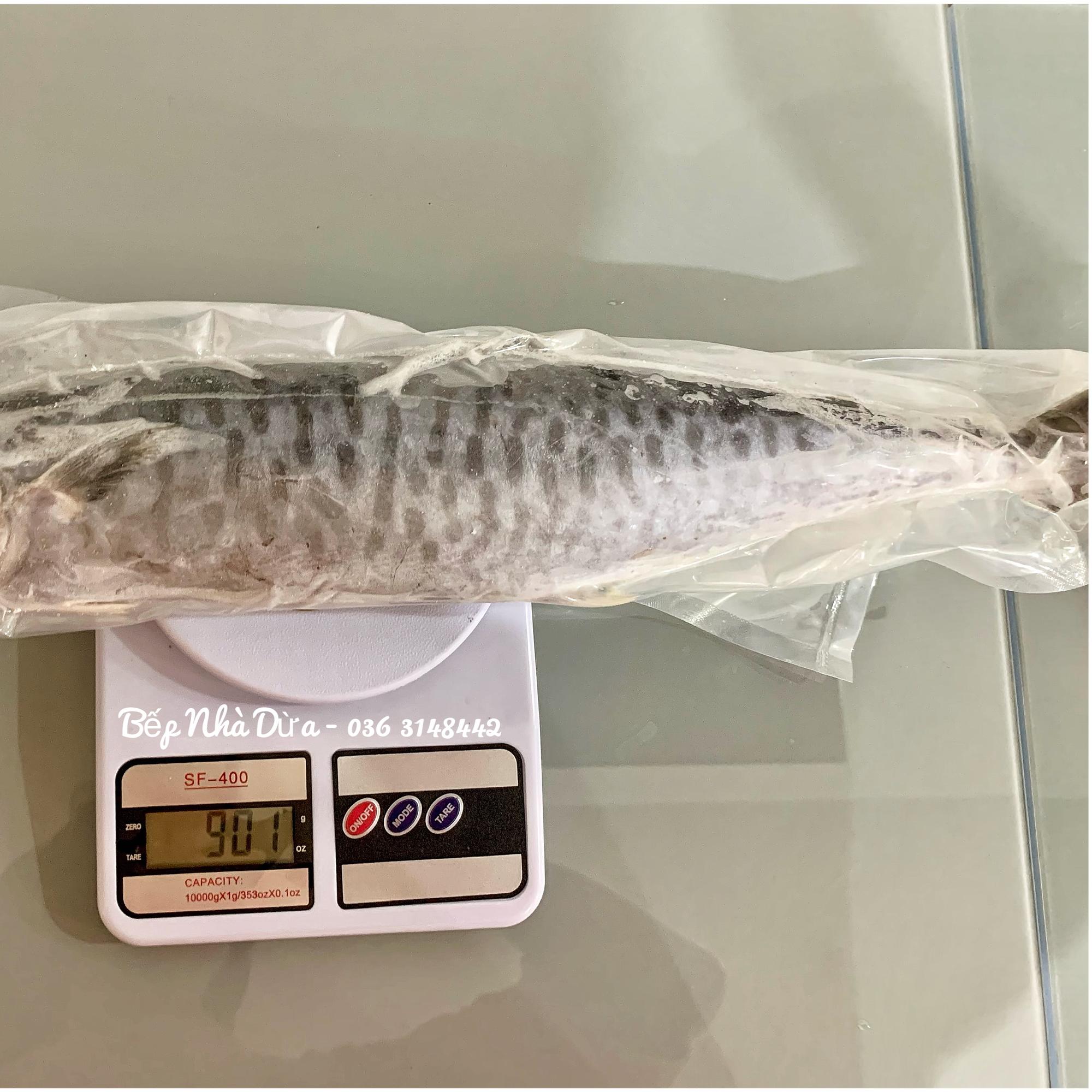 Cá Thu Non Nguyên Con (Size 6 lạng-1kg/con)-duoc-ban-tai-BẾP NHÀ DỪA