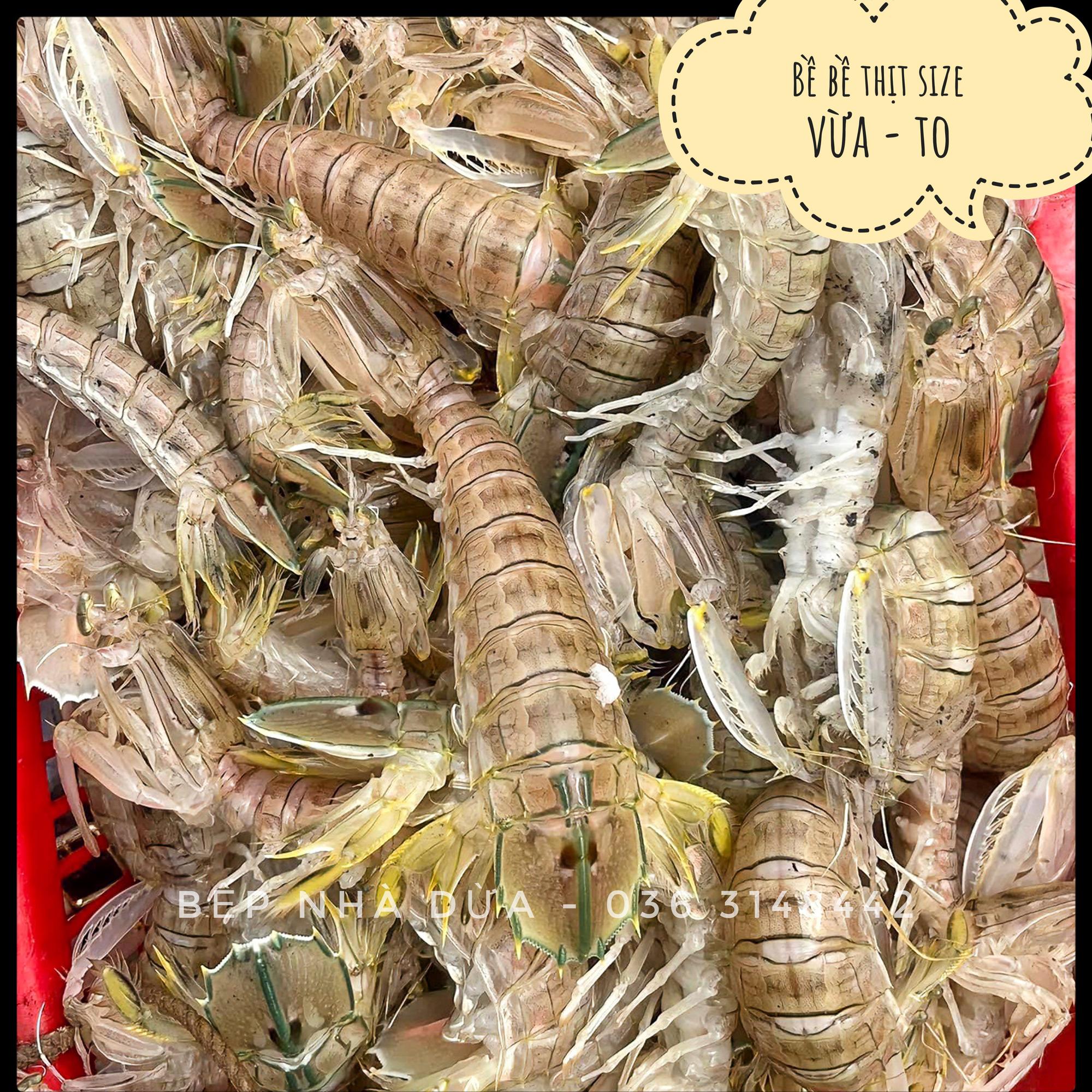 Bề bề khơi nguyên vỏ hấp sơ Size vừa 22-24c/kg-duoc-ban-tai-BẾP NHÀ DỪA