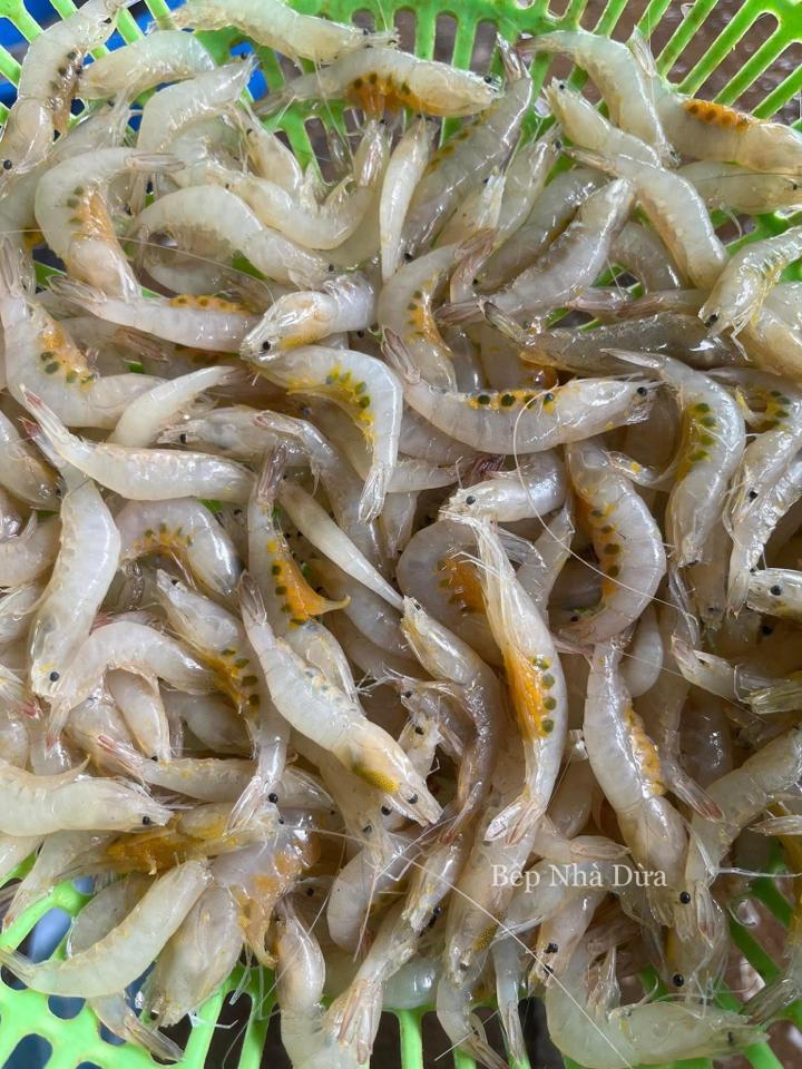 Tôm gai trứng -duoc-ban-tai-BẾP NHÀ DỪA