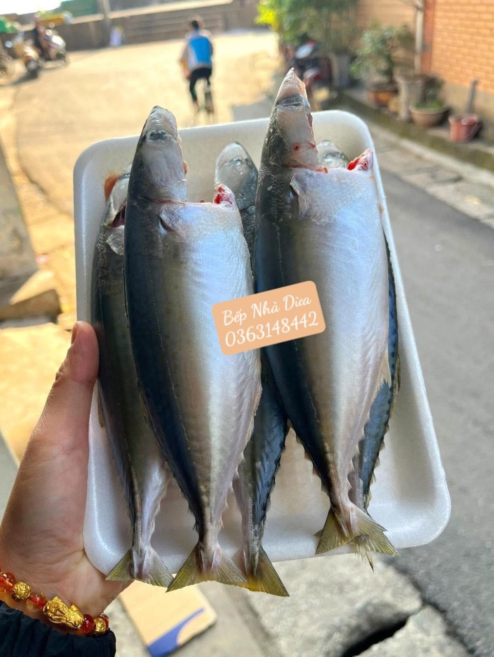 Cá Bạc Má Câu size 4c-6c/kg-duoc-ban-tai-BẾP NHÀ DỪA