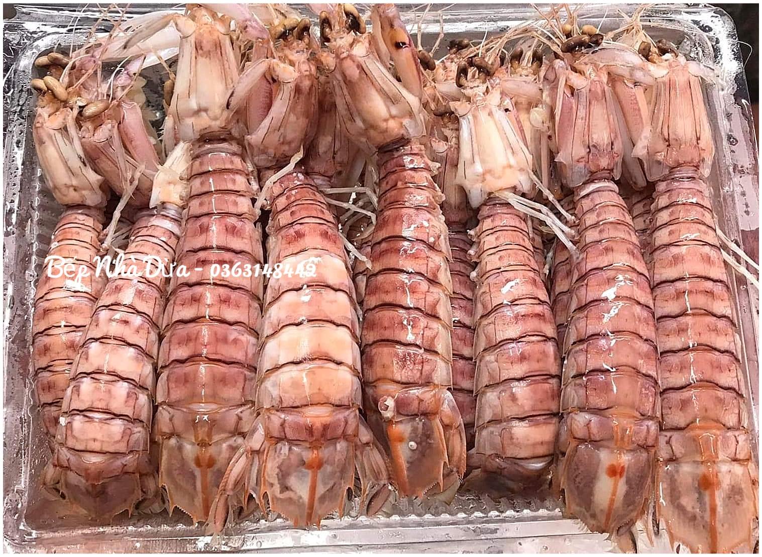 Bề bề khơi nguyên vỏ hấp sơ Size vừa 22-24c/kg-duoc-ban-tai-BẾP NHÀ DỪA