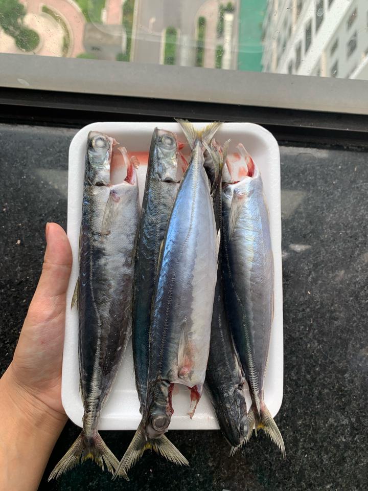 Cá Nục Trạch size 10 con/kg-duoc-ban-tai-BẾP NHÀ DỪA