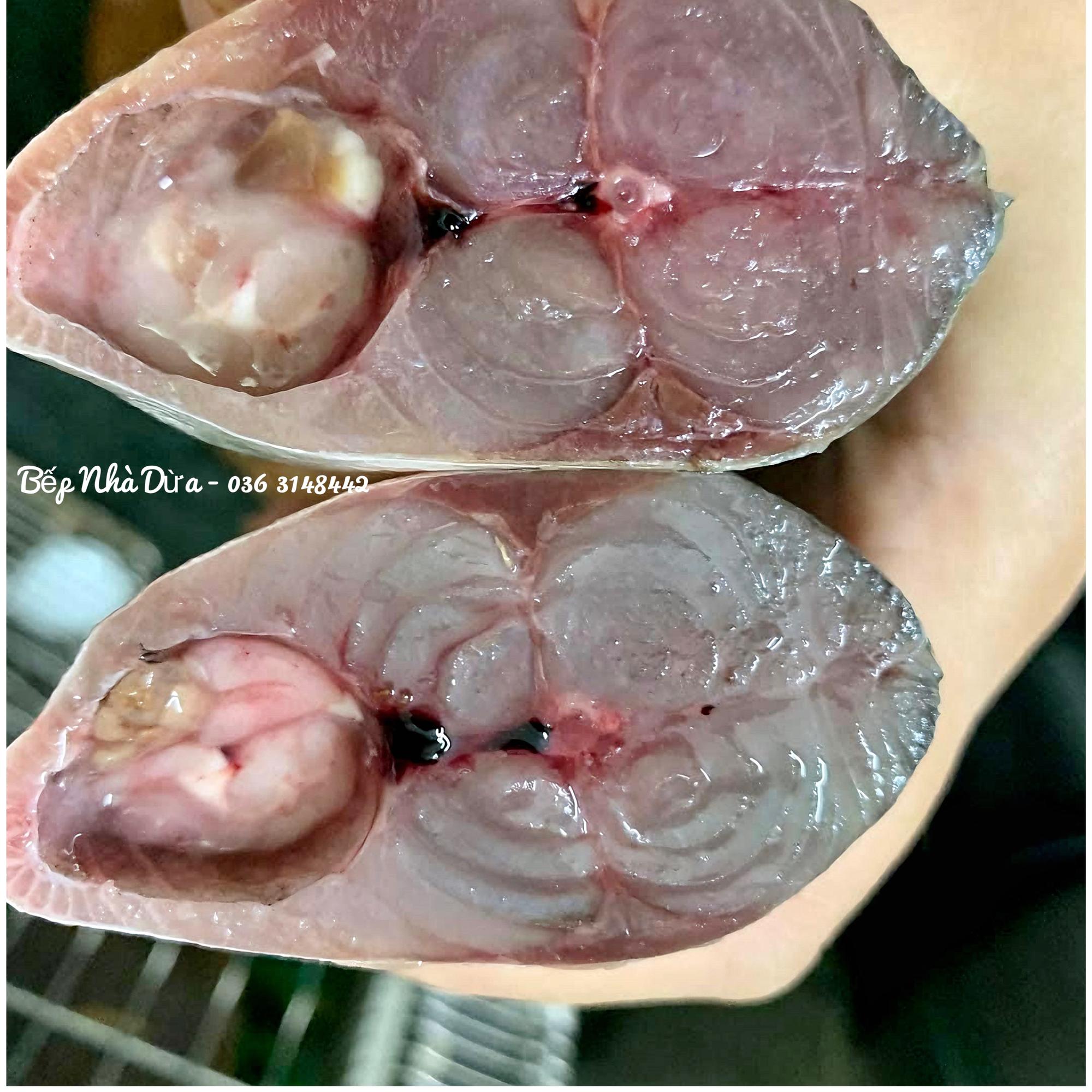 Cá Bạc Má Câu size 4c-6c/kg-duoc-ban-tai-BẾP NHÀ DỪA