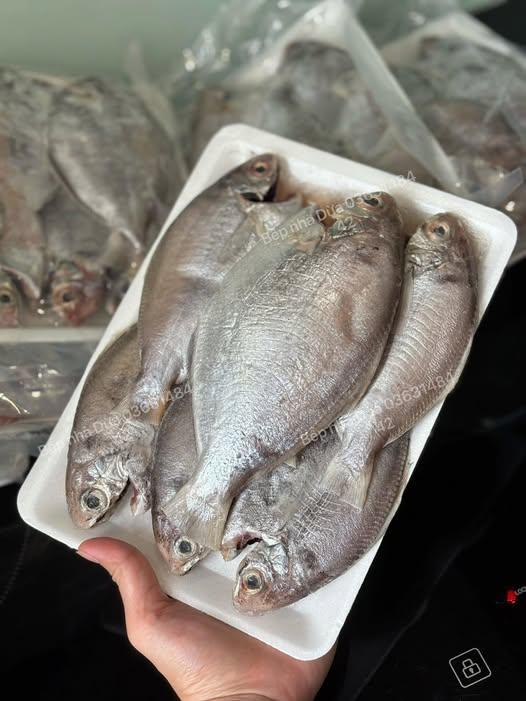 Cá đội đèn / sống mũi 10-12 con/kg-duoc-ban-tai-BẾP NHÀ DỪA