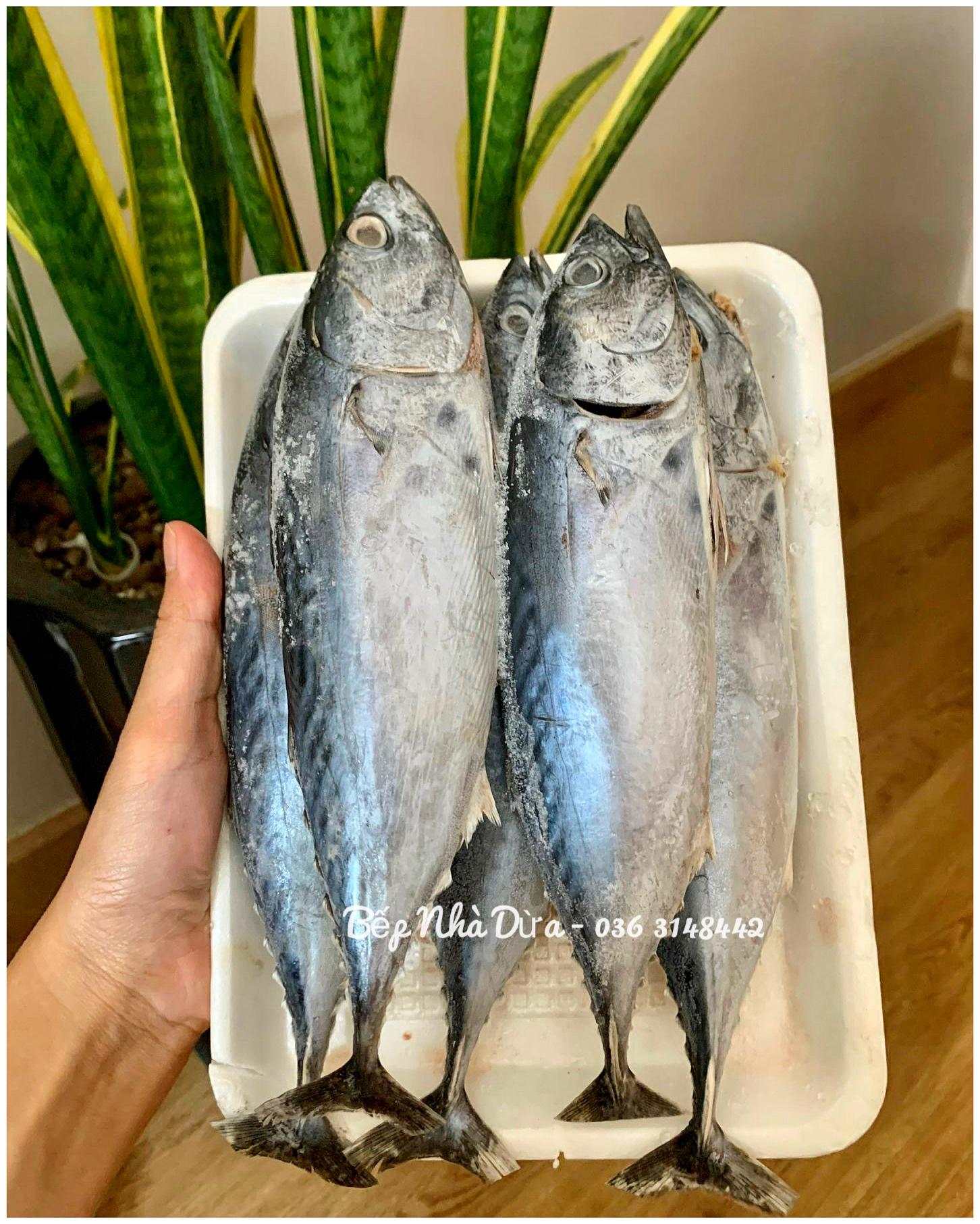 Cá Thu Ù (Cá Ù Ngừ) Size 4-5c/kg-duoc-ban-tai-BẾP NHÀ DỪA