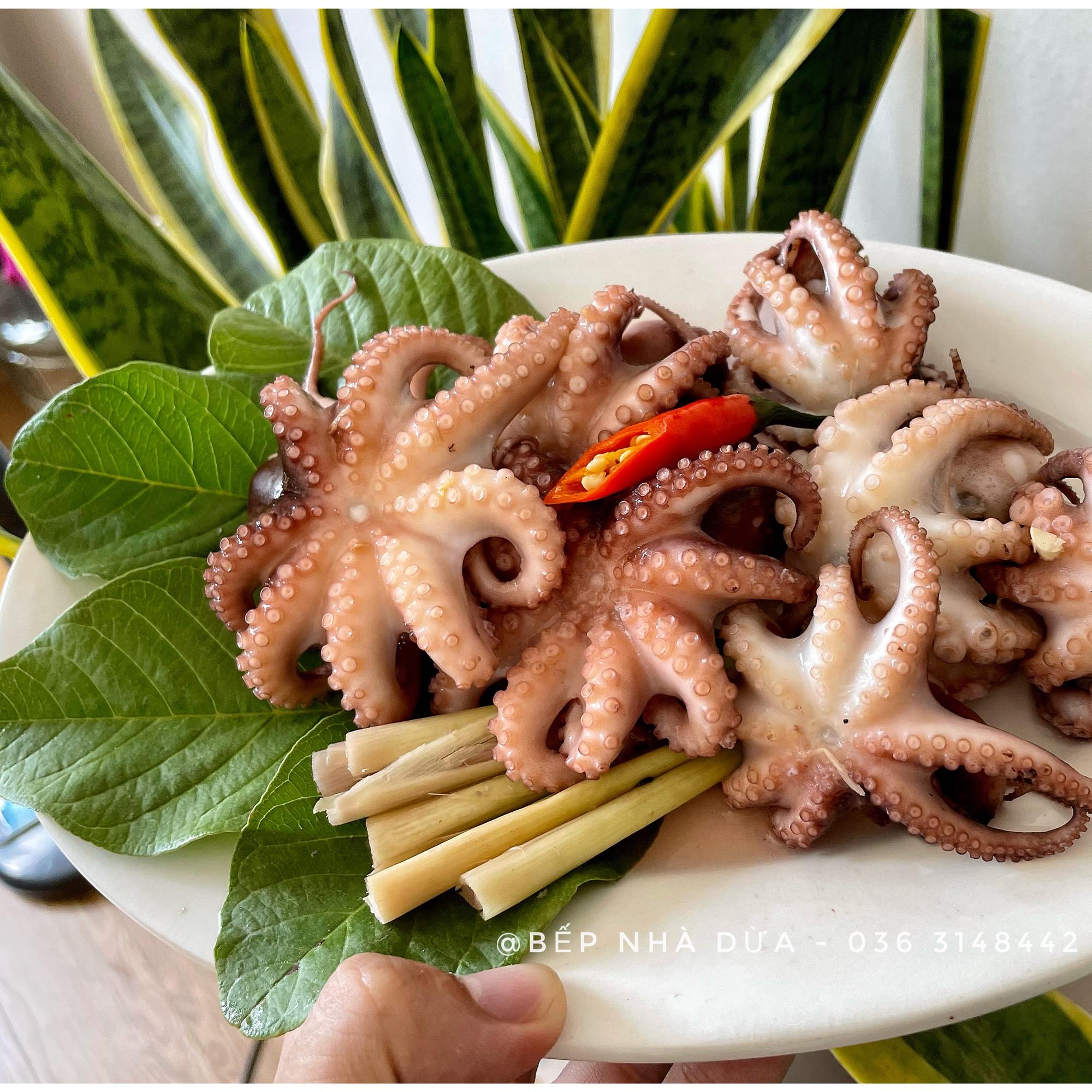 Tuộc Sữa size ~12con/kg-duoc-ban-tai-BẾP NHÀ DỪA
