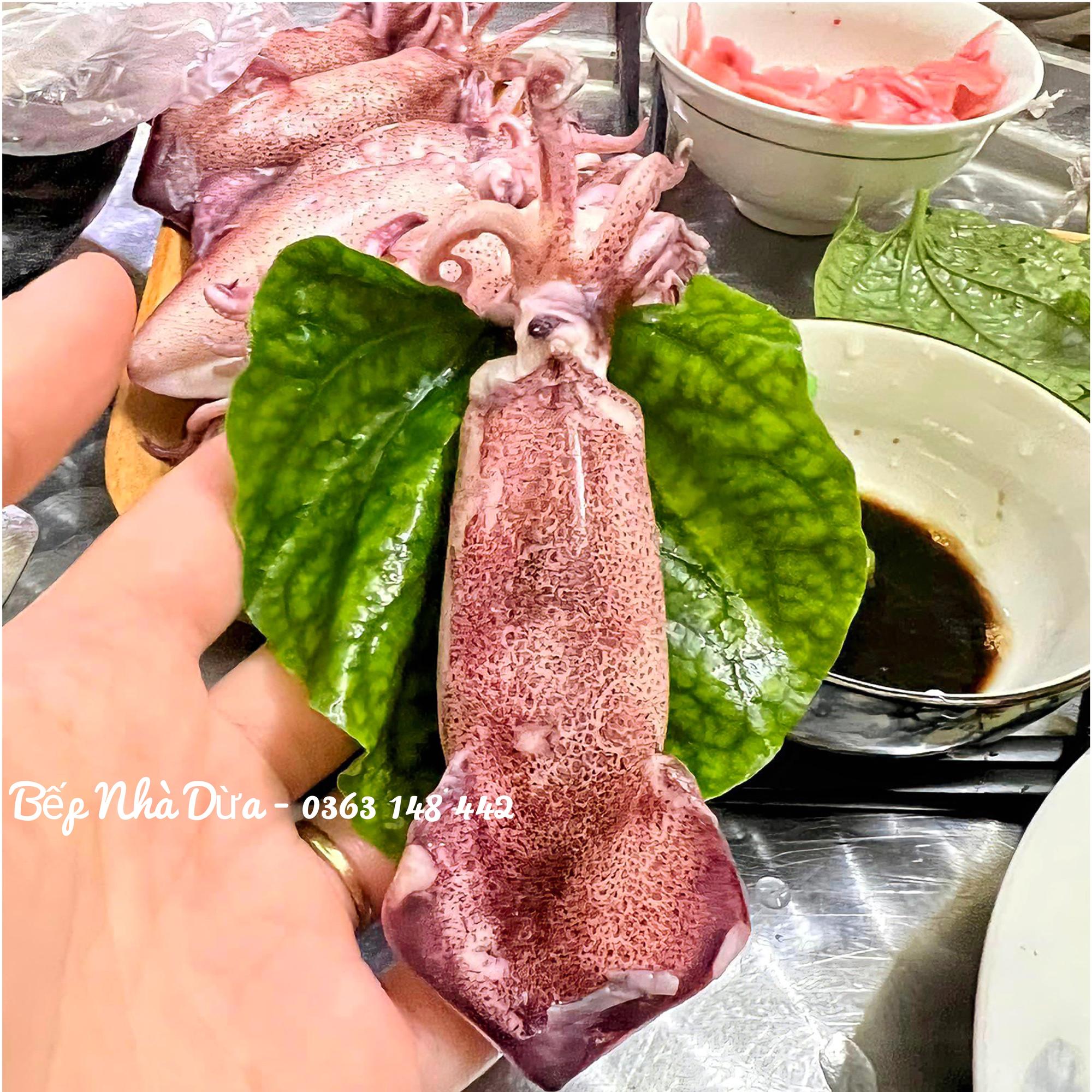Mực trứng size 12-14c/kg-duoc-ban-tai-BẾP NHÀ DỪA