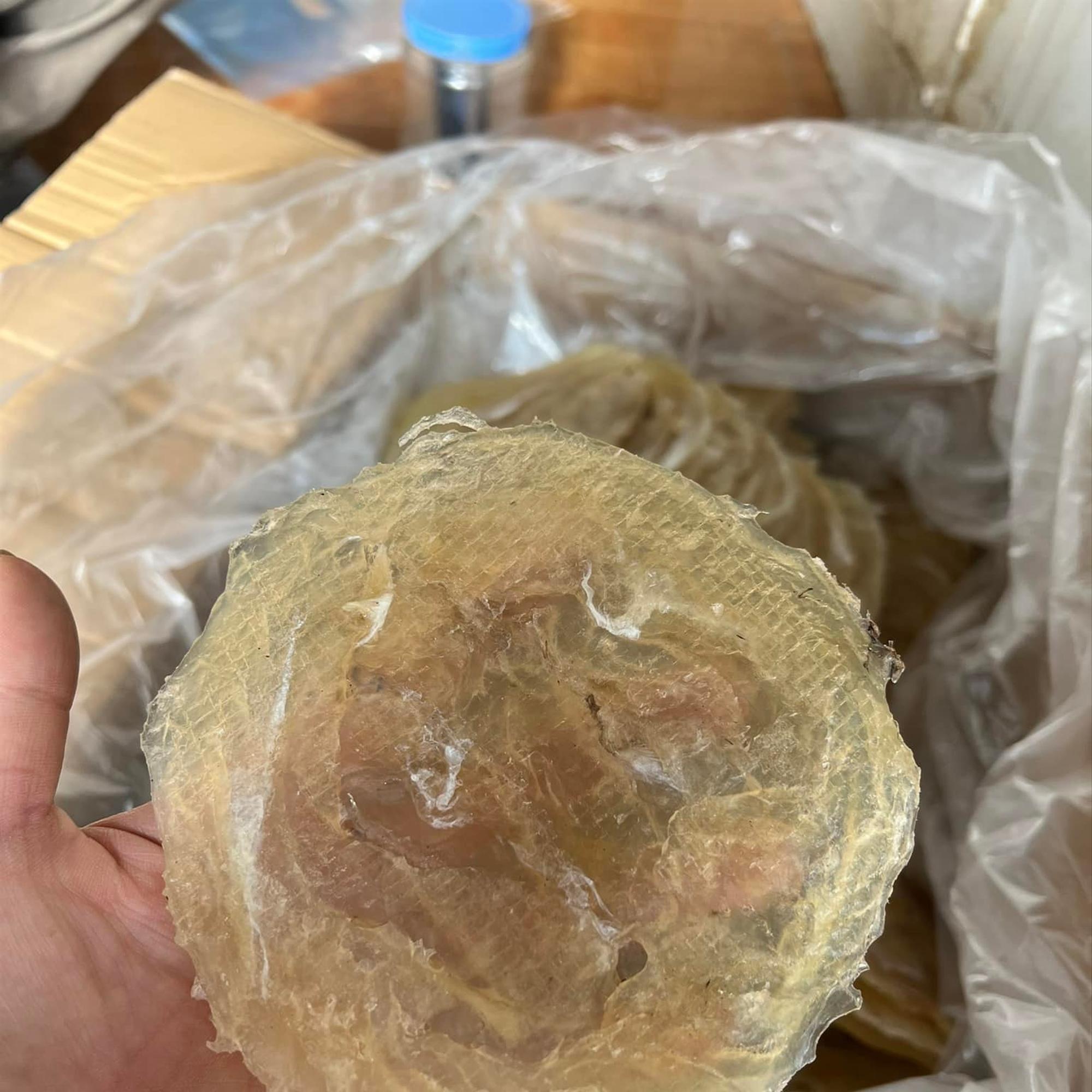 Cá bò khô loại 1 (hàng độc quyền)-duoc-ban-tai-BẾP NHÀ DỪA