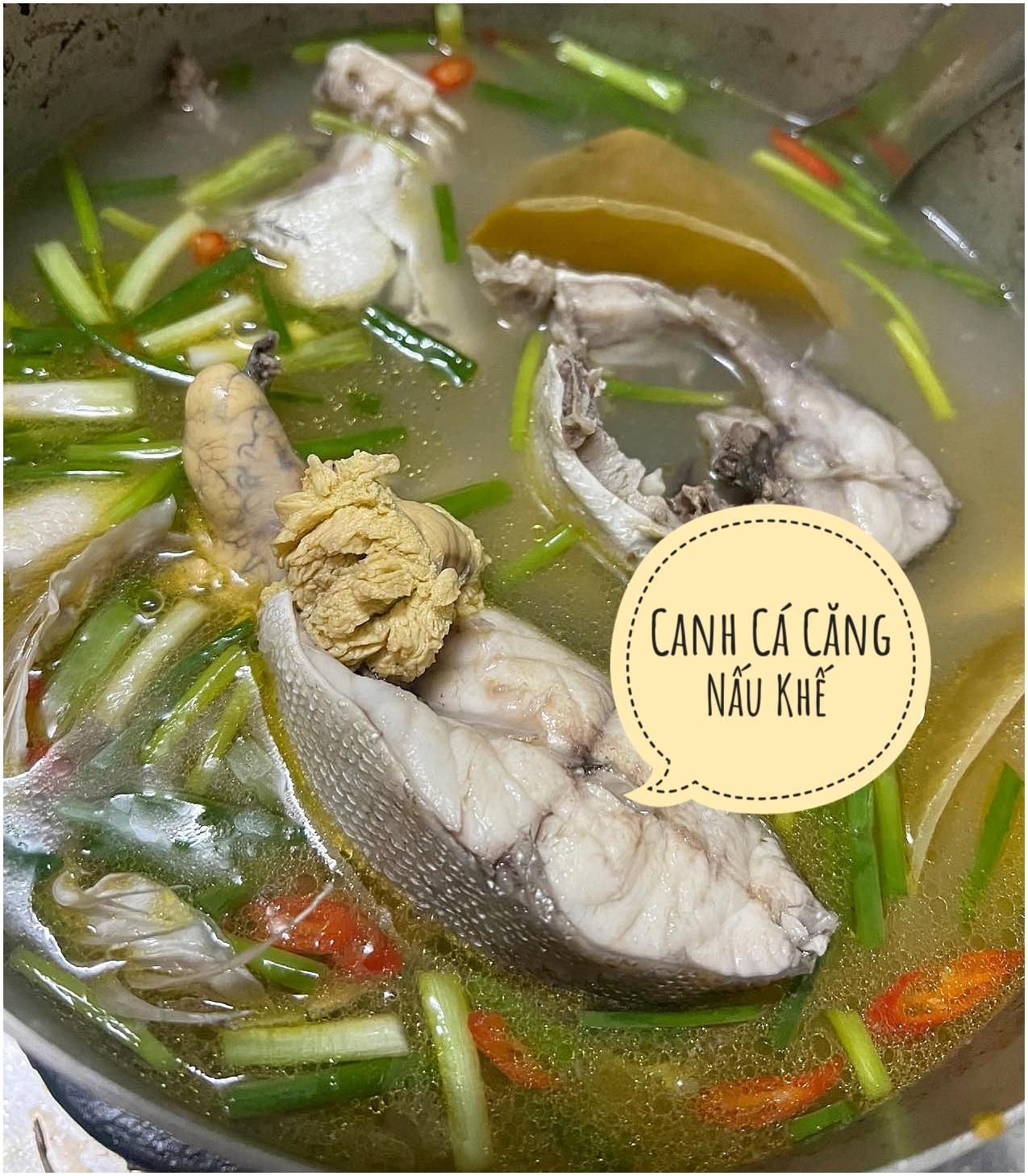 Cá Căng Biển (3-4c/kg)-duoc-ban-tai-BẾP NHÀ DỪA