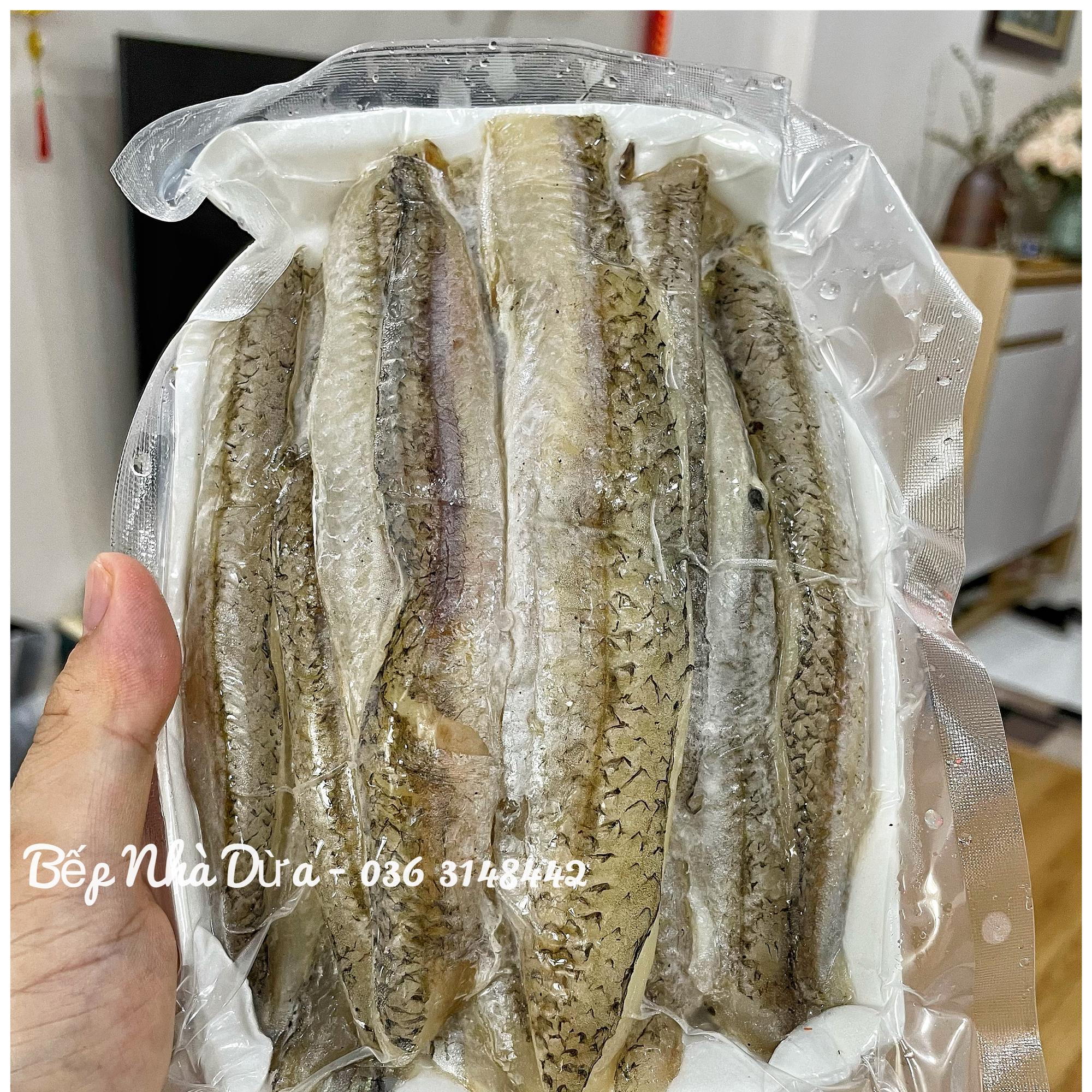 Cá Mối Hương Phi Lê 1 nắng (hàng loại 1)-duoc-ban-tai-BẾP NHÀ DỪA