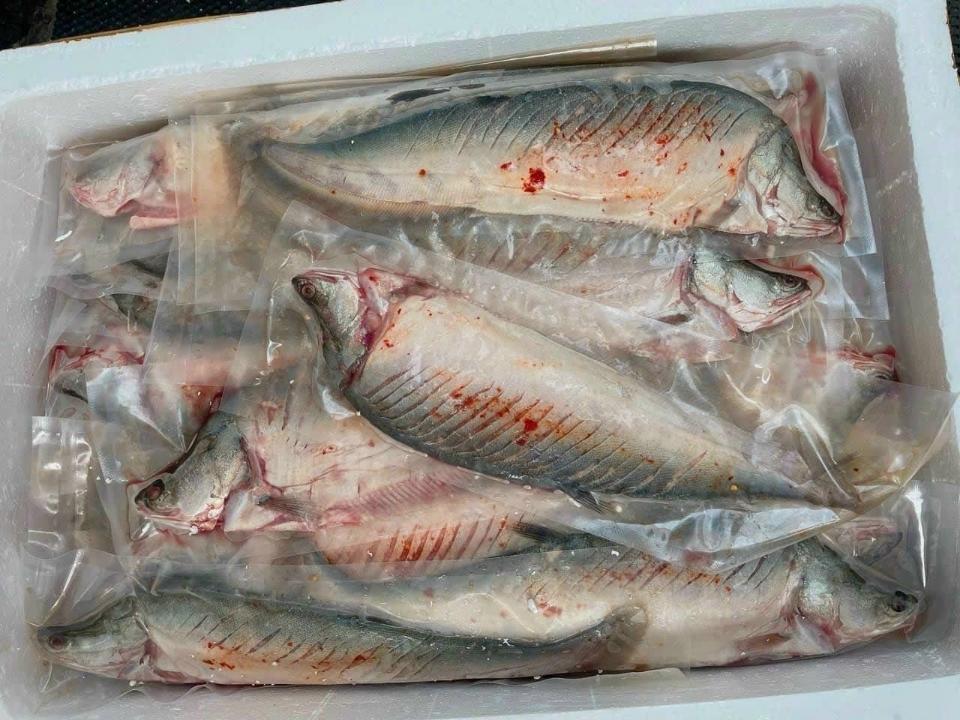 Cá thác lác rút xương size 3 con-duoc-ban-tai-Thùy Dương Shop