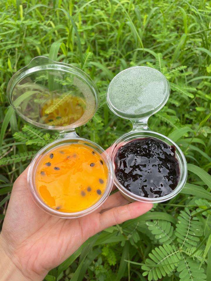 PANNA COTTA-duoc-ban-tai-Min Healthy (Cửa Hàng Đồng Giá chỉ từ 10k)